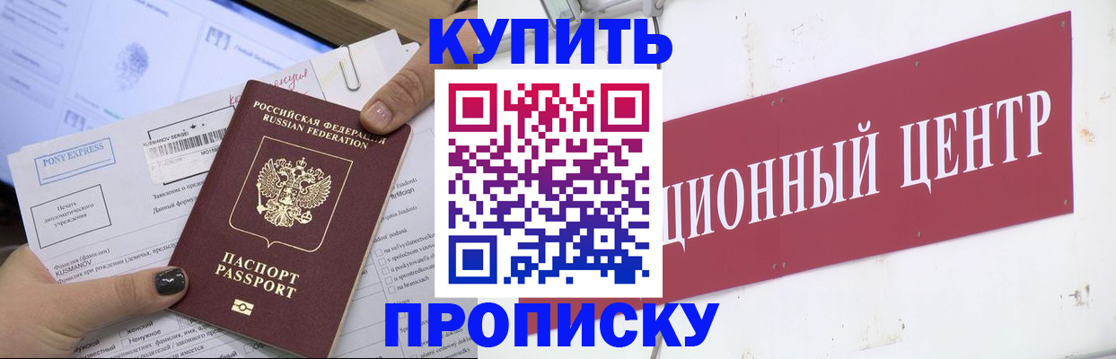 прописка поиск в Березниках